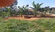 10-quintal